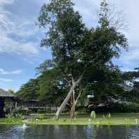 芭堤雅新開幕度假村⛱️ Andaz