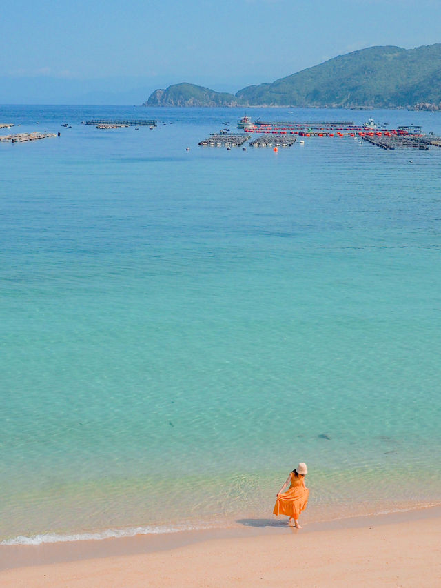 絶景の高知旅🧡絶景スポットを巡ったよ🚗✨