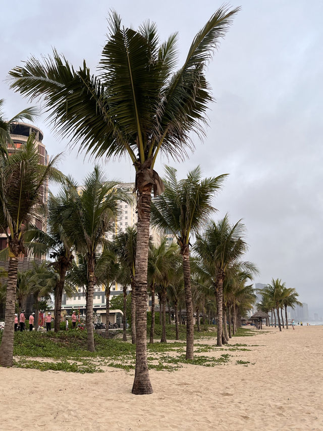 必看全世界六大美麗沙灘之一🇻🇳🏖️🌊 