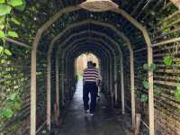 ที่พักติดทะเลเกาะกูด 