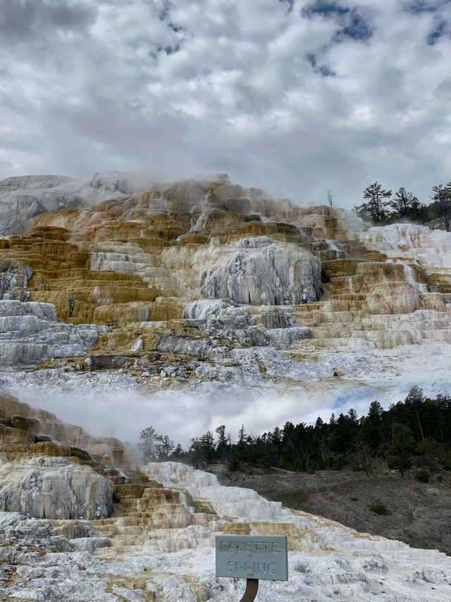 Exploring Yellowstone National Park:Geysers, Wildlife, and a Stay at Old Faithful Inn