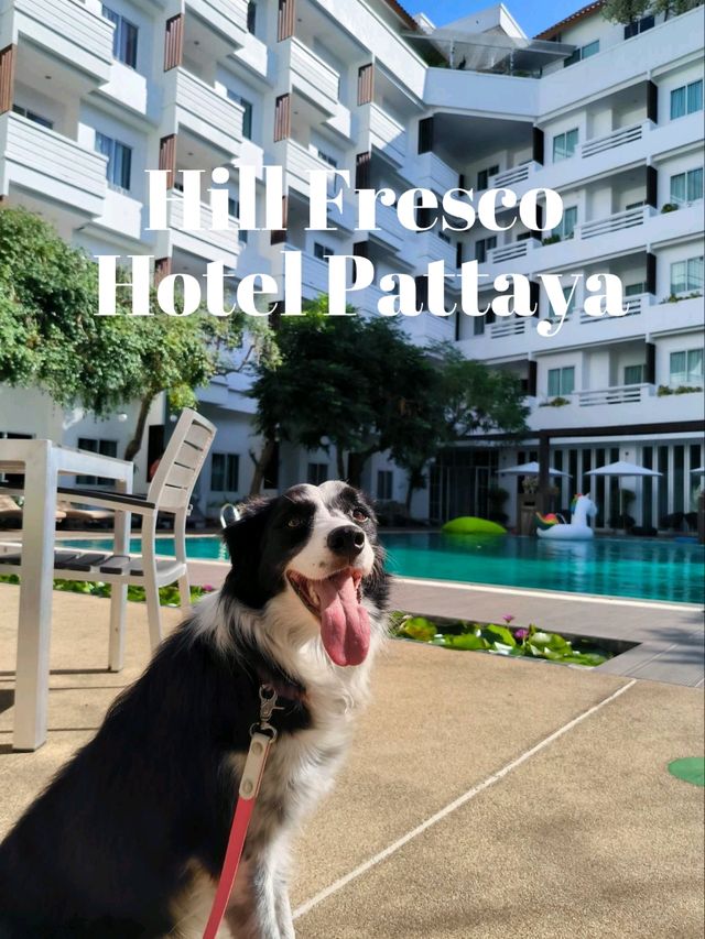 Hill Fresco Hotel Pattaya โรงแรมสำหรับคนรักสัตว์