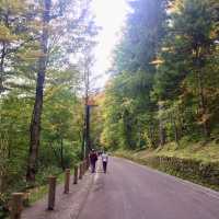 Marienbrücke Trail: The Perfect Hike for Iconic Views of Neuschwanstein and Alpsee