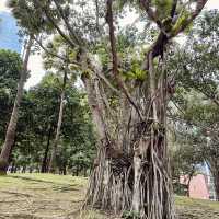 KLCC Park – A Serene Escape Amidst the City