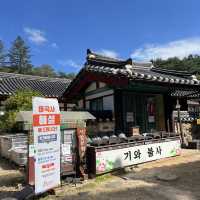 단풍으로 유명한 공주 마곡사 다녀왔어요 🍂🍁