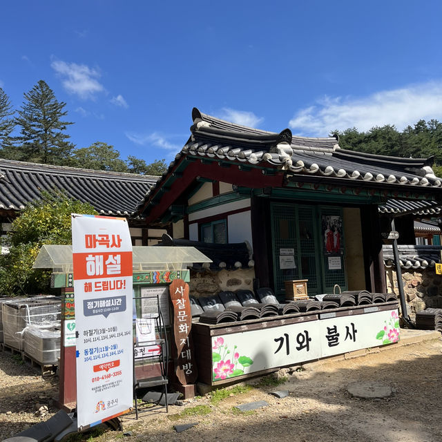 단풍으로 유명한 공주 마곡사 다녀왔어요 🍂🍁