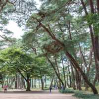 한국 최초의 서원
