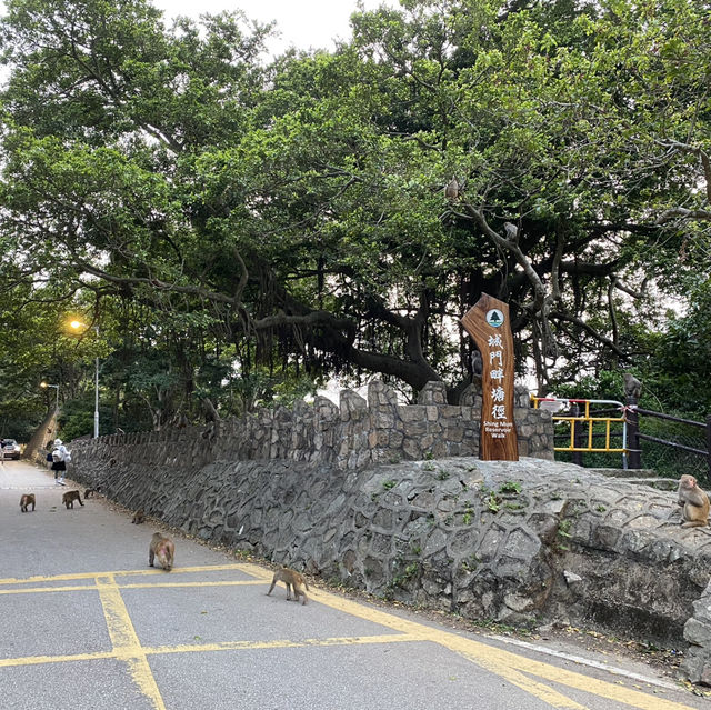 城門水塘半日遊
