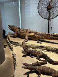 Museum ราคาดีที่ห้ามพลาดเมื่อมาเที่ยวเซี่ยงไฮ้ 🦕