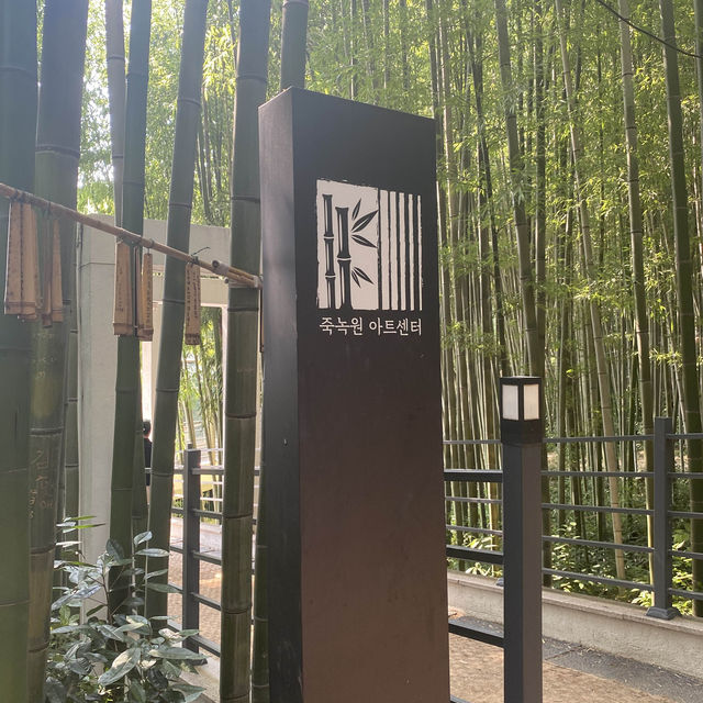 [담양] 대나무 소리가 시원한 죽녹원 여행🎋