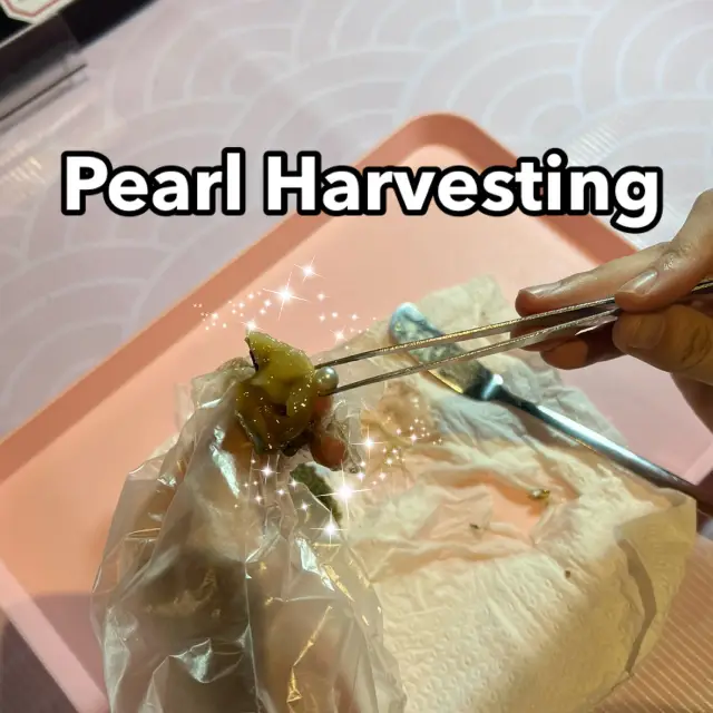 一起去挖珍珠吧!