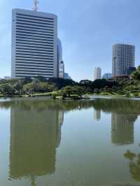 【東京】穴場！大都会の美しい日本庭園