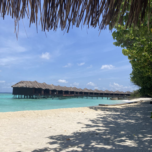 Island paradise 🌅 บริการสุดประทับใจ