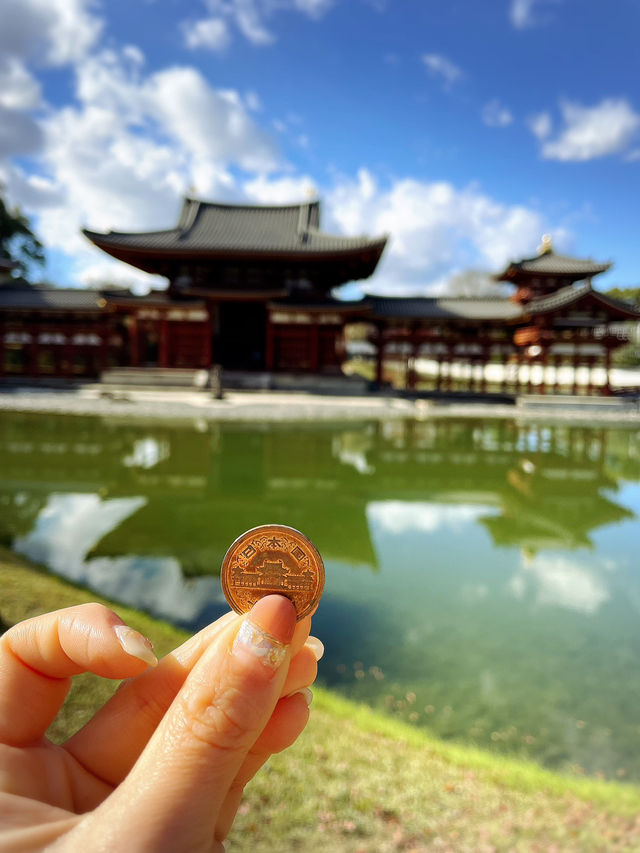 【京都宇治】極楽浄土を再現した美しさ✨世界遺産を堪能しよう