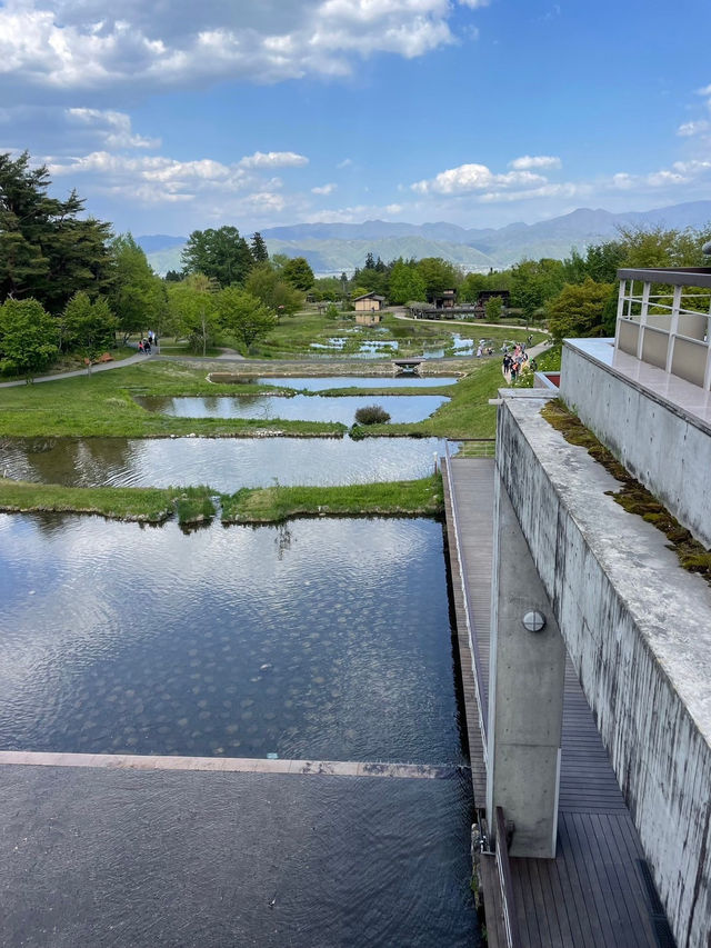 【安曇野市】1日450円で楽しめる！国営アルプスあづみの公園