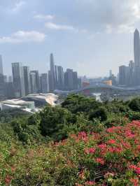 "探索深圳鄧小平塑像，感受改革開放的偉大時刻"