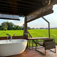 ที่พักเชียงใหม่กลางทุ่งนา 🏡🌾