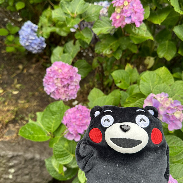 鹿兒島仙巖園神秘探險遊記🤩🥳