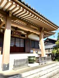 【東京都】多宝塔と緑の美しいコントラスト