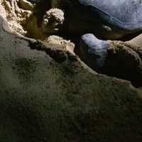 Sea Turtle laying eggs