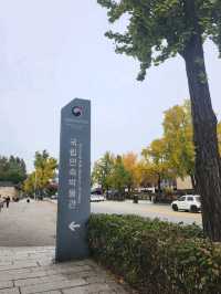 다양한 전시가 펼쳐지는 국가운영 서울 국립박물관☺️