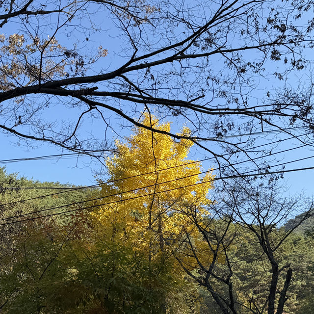 가을의 절경을 품은 북한산, 백운대에서 만나는 서울의 단풍 파노라마🍁