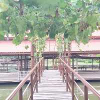 Thai Buffalo Village สุพรรณบุรี