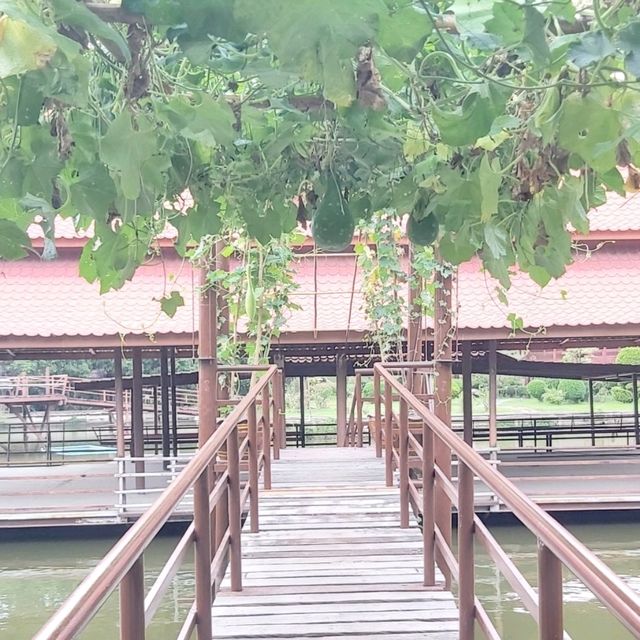 Thai Buffalo Village สุพรรณบุรี