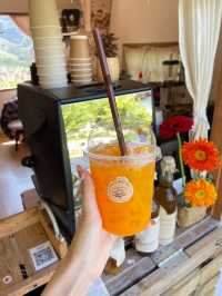 สวนส้มจินจู🍊