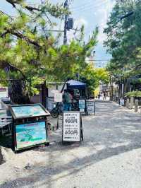 【京都府:天橋立】天橋立をモーターボートで楽しむ！
