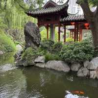 Sydney Chinese Garden of Friendship 