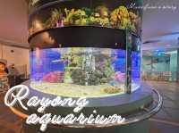 Rayong Aquarium 🐡🐠🪼