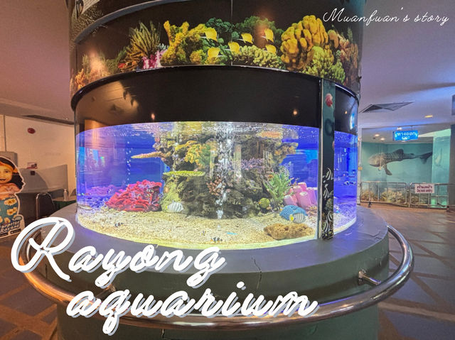 Rayong Aquarium 🐡🐠🪼