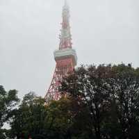Sky-High Thrills and Picture-Perfect Moments at Tokyo Tower!
