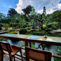 คาเฟ่ลับในป่าลึก พร้อมที่พัก : T Story - แม่กำปอง