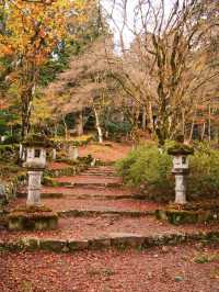 【ここ行って】本当は教えたくない🙅丹波地方最古の寺院で見る紅葉✨