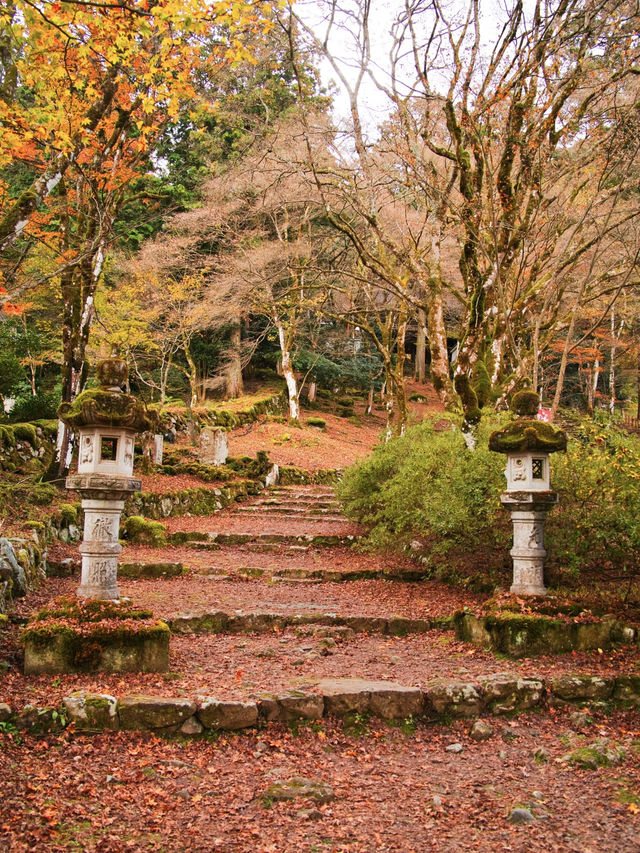 【ここ行って】本当は教えたくない🙅丹波地方最古の寺院で見る紅葉✨ 【ここ行って】本当は教えたくない🙅丹波地方最古の寺院で見る紅葉✨