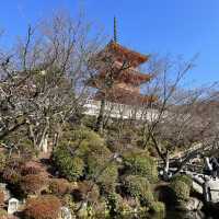 Kiyomizudera: Kyoto’s Timeless Temple of Pure Water