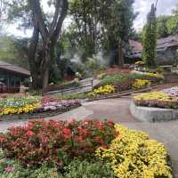 กาแล เชียงใหม่ - ร้านอาหารท่ามกลางธรรมชาติ 🌳🍃