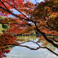 【京都紅葉】京都旅ゆったり紅葉狩りはここ！平安神宮神苑