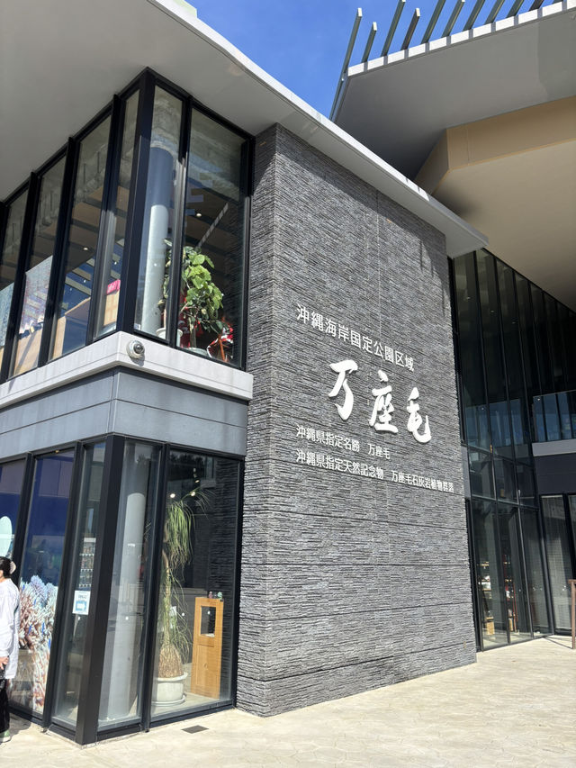추운겨울 떠나기 좋은 일본 오키나와 만좌모😃