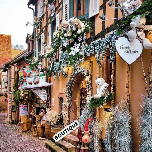 Tallinn is getting ready for Christmas! 🌲