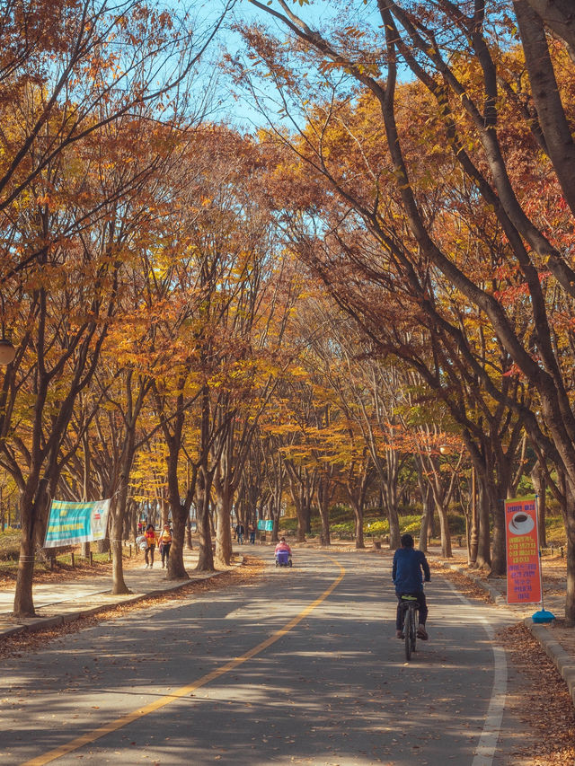 한국의 미니미한 네덜란드 풍경이 있는“인천대공원 동문”
