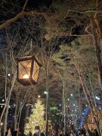 【軽井沢】キャンドルランタンの世界へ🕯おすすめクリスマスイルミネーション