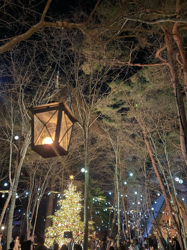 【軽井沢】キャンドルランタンの世界へ🕯おすすめクリスマスイルミネーション