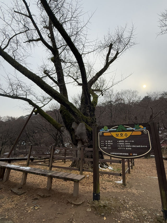 한 해를 차분히 마무리 하기 좋은 곳 ‘전등사’