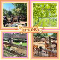 ～文山市民農園～小動物的“歡樂大派對”～