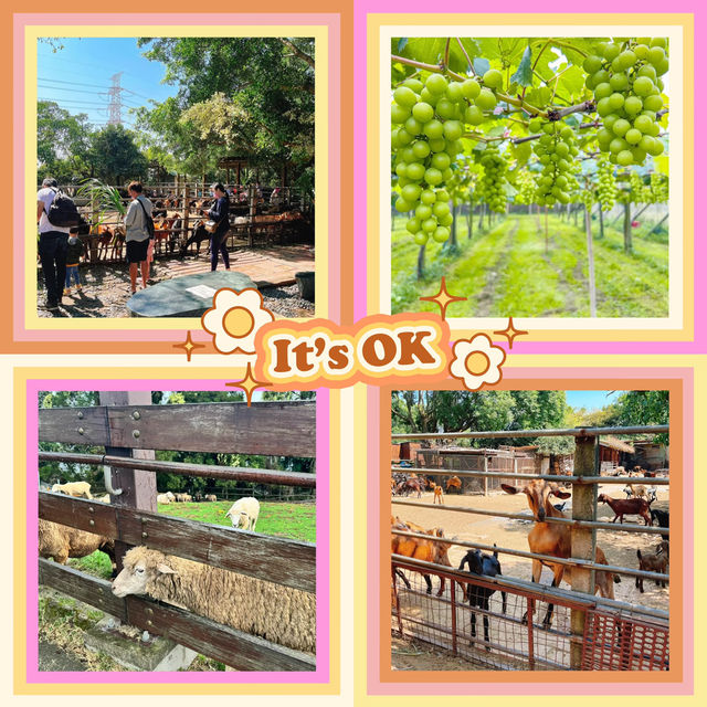 ～文山市民農園～小動物的“歡樂大派對”～