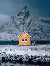 Why Lofoten Should Be Your Next Christmas Holiday Destination