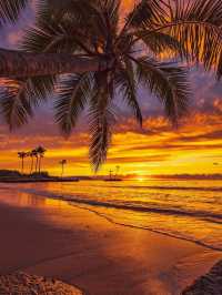 Why You Need to Book a Trip to Hawaii ASAP